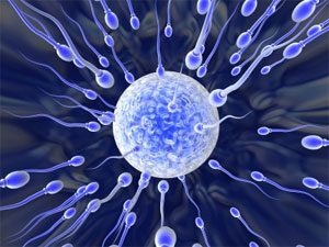 Genetic differences in sperms of a man